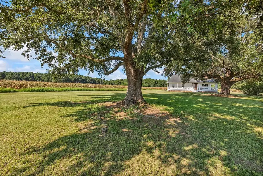 3568 Alcolu St., Alcolu, SC 29001 - #2