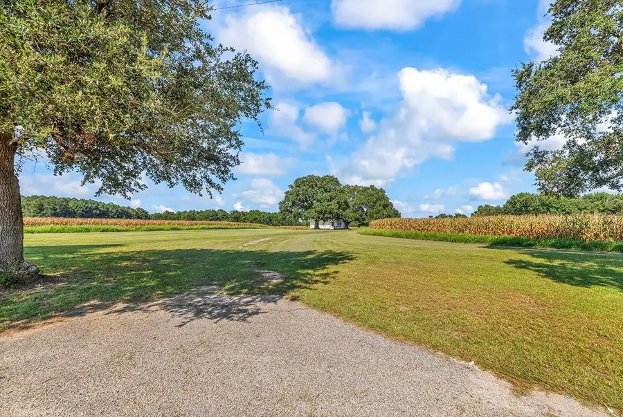 3568 Alcolu St., Alcolu, SC 29001 - #3