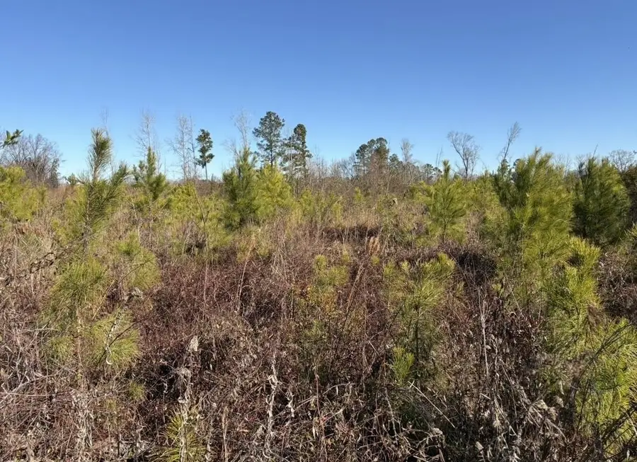 tbd Vincent Rd, Mullins, SC 29574 - #2