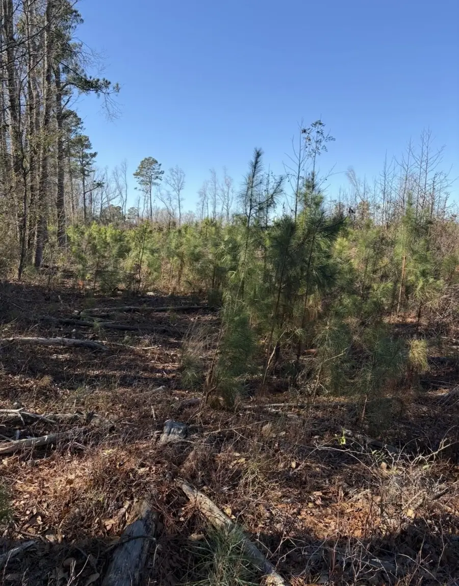tbd Vincent Rd, Mullins, SC 29574 - #3