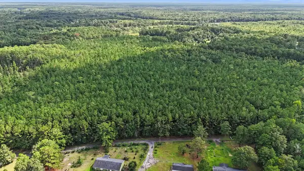 TBD Rustwood Dr., Georgetown, SC 29440