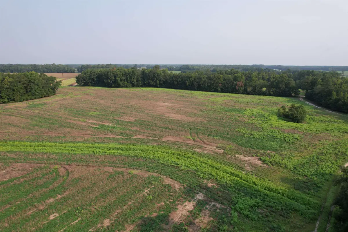 85 Acres - Antler Dr, Johnsonville, SC 29555 - #1