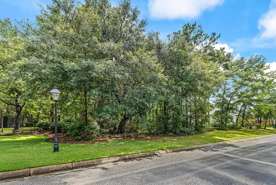 Lot 47 Hunters Oak Ct., Pawleys Island, SC 29585 - #2