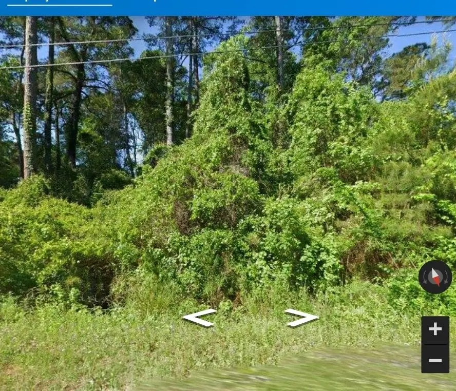 683 Waverly Rd., Pawleys Island, SC 29585 - #1
