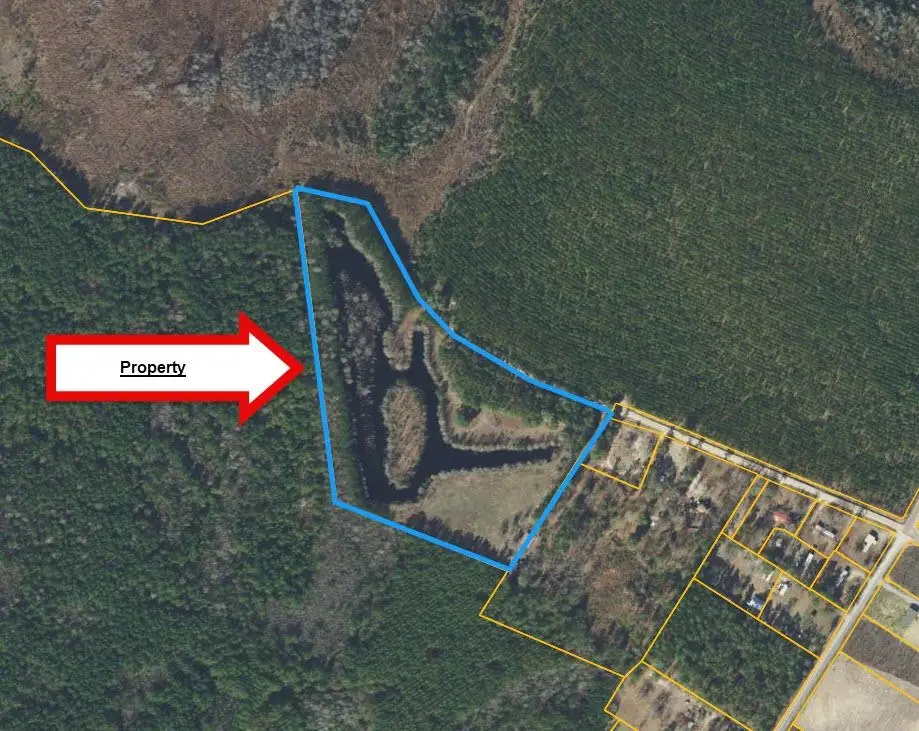 TBD Hardwick Rd., Nichols, SC 29581 - #1