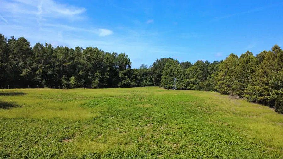 TBD Hardwick Rd., Nichols, SC 29581 - #2