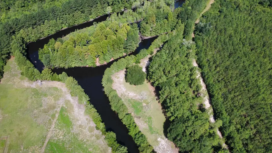 TBD Hardwick Rd., Nichols, SC 29581 - #3