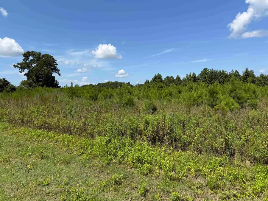 183 Dove Rd., Loris, SC 29569 - #3