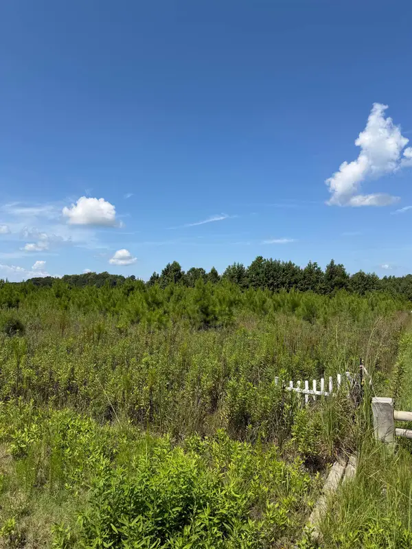 175 Dove Rd., Loris, SC 29569