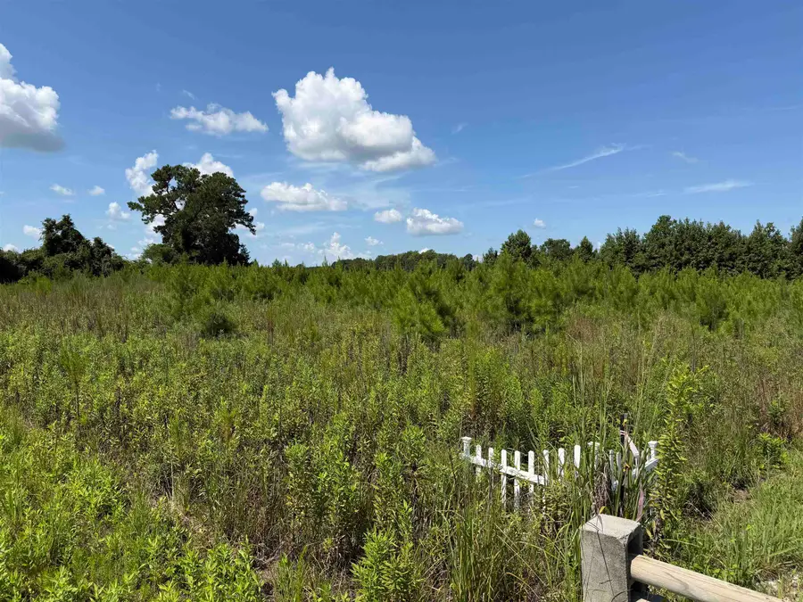 175 Dove Rd., Loris, SC 29569 - #3