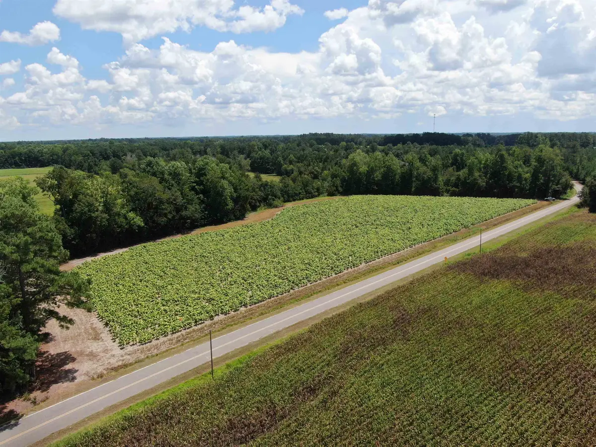TBD Black Creek Rd., Nichols, SC 29581 - #1