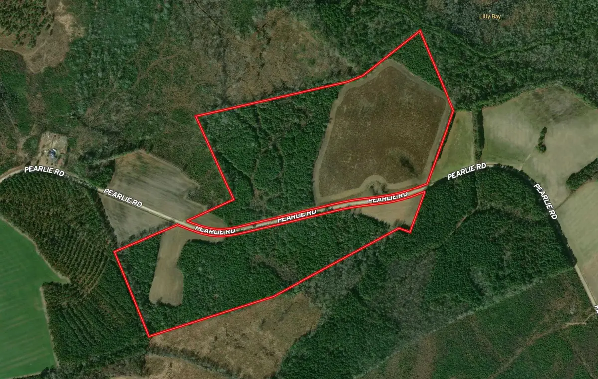 TBD Pearlie Dr., Dillon, SC 29536 - #1