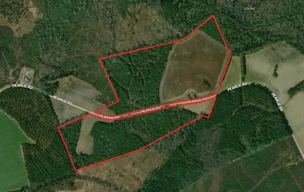 TBD Pearlie Dr., Dillon, SC 29536