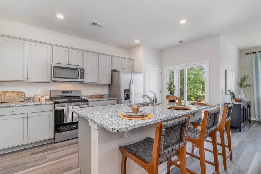 309 Safari Scarlet Ct, Conway, SC 29527 - #3