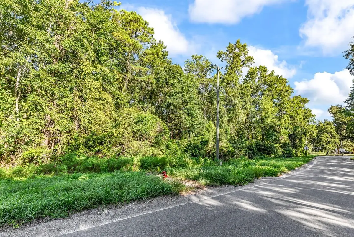 TBD Lyons Ln., Longs, SC 29568 - #1