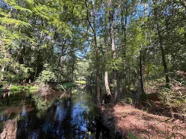 TBD Mount Calvary Rd., Dillon, SC 29536