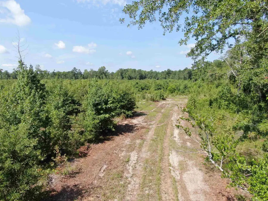 TBD Mount Calvary Rd., Dillon, SC 29536 - #2