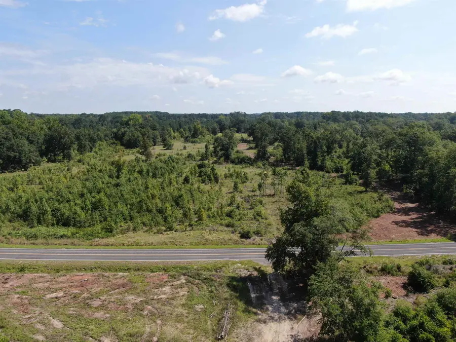 TBD Mount Calvary Rd., Dillon, SC 29536 - #3