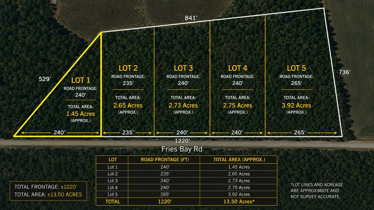 LOT1 Fries Bay Rd., Loris, SC 29569 - #1