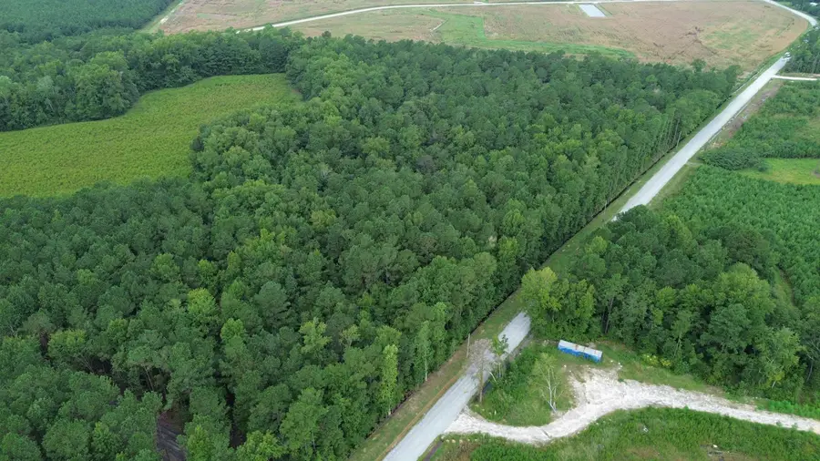 LOT1 Fries Bay Rd., Loris, SC 29569 - #3