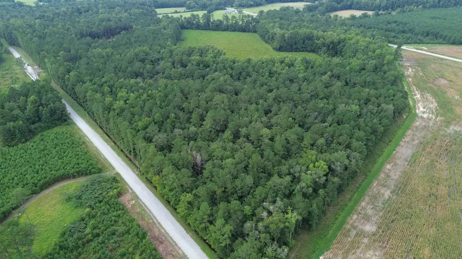 Lot 3 Fries Bay Rd., Loris, SC 29569 - #2