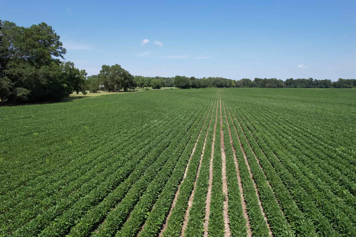 Lot 4 - Sumter Hwy., Kingstree, SC 29556 - #1
