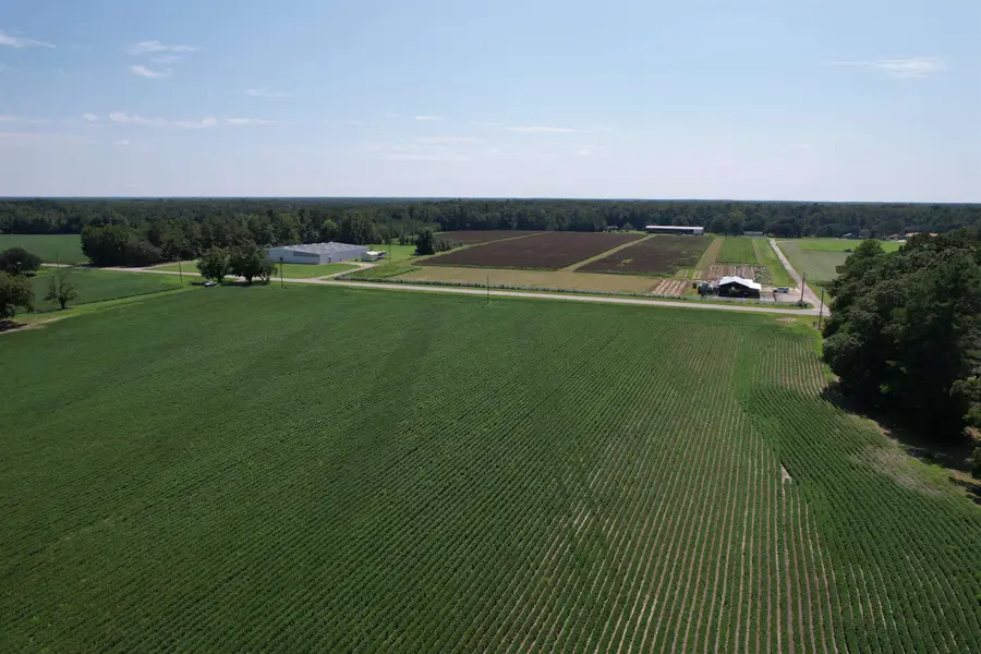 Lot 4 - Sumter Hwy., Kingstree, SC 29556 - #2