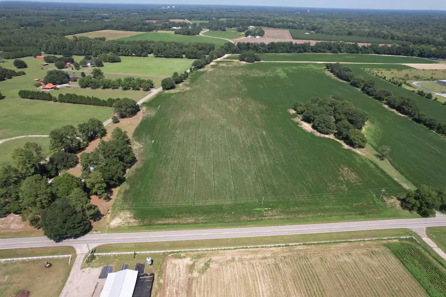 Lot 5 - Buck Strong Rd, Kingstree, SC 29556 - #3