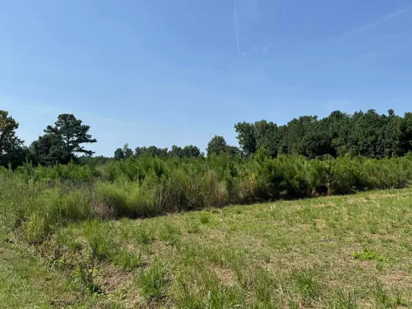 TBD Spring Branch Rd., Nichols, SC 29581
