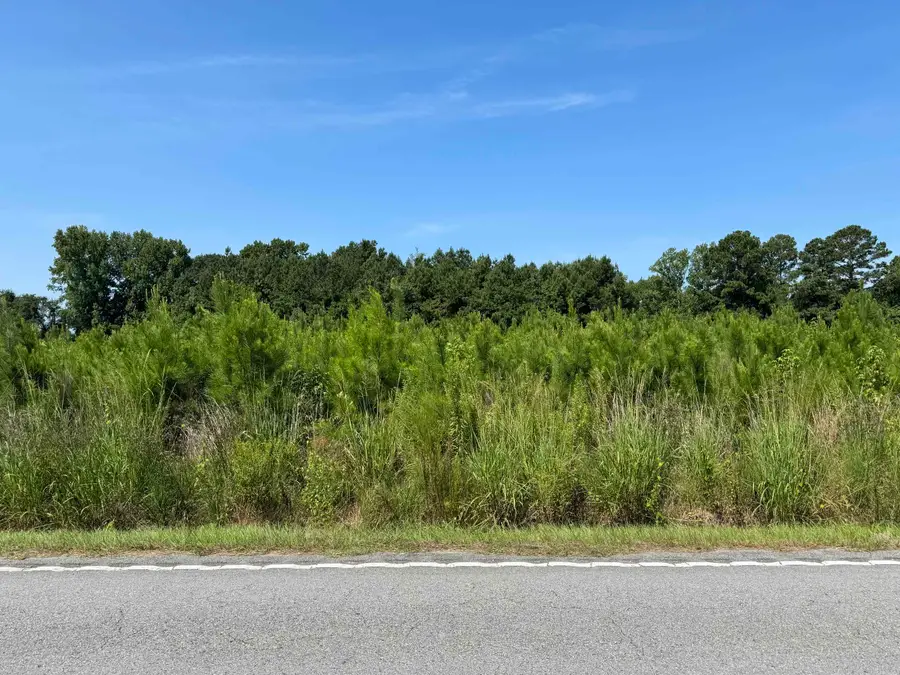 TBD Spring Branch Rd., Nichols, SC 29581 - #2