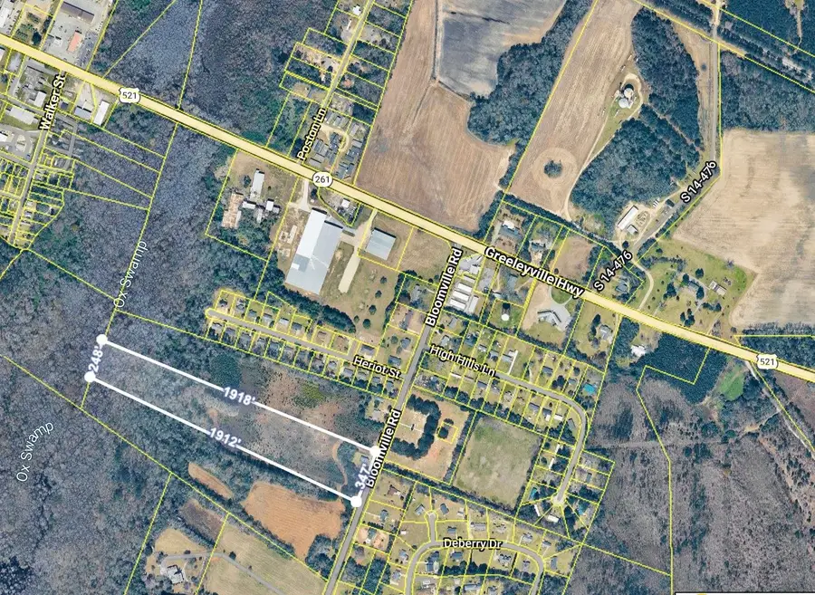 1292 Bloomville Rd., Manning, SC 29102 - #3