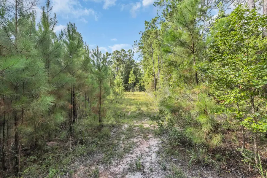 TBD Creek Bend Rd, Georgetown, SC 29440 - #3