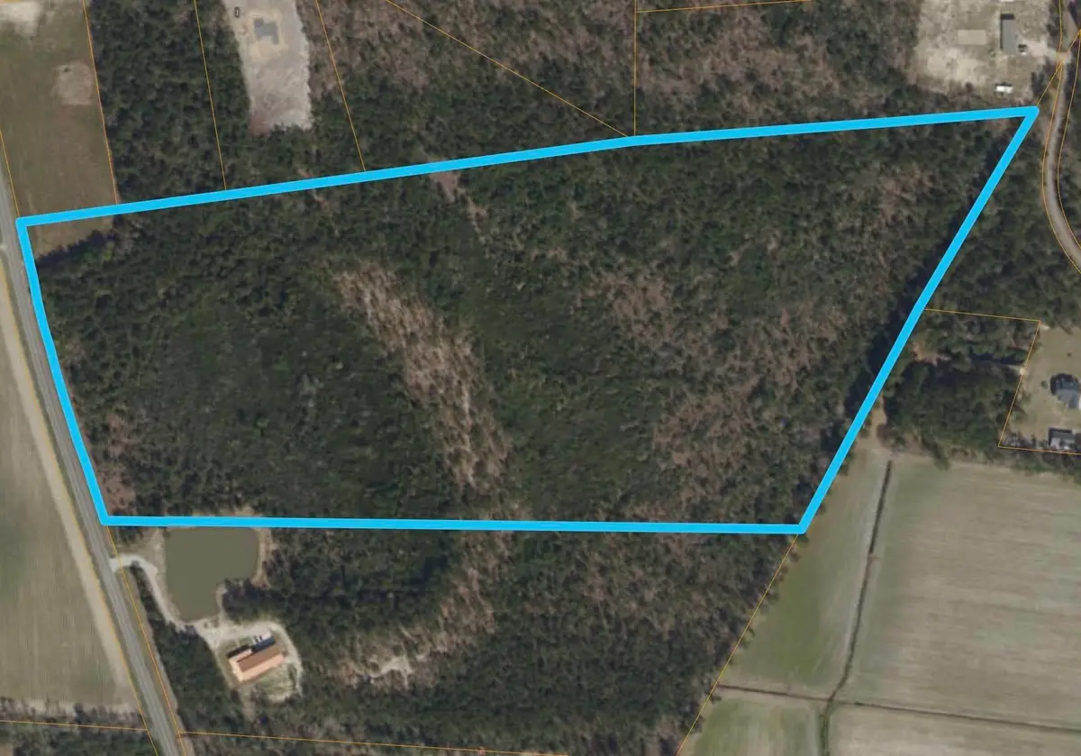 TBD Mill Pond Rd., Galivants Ferry, SC 29544 - #1