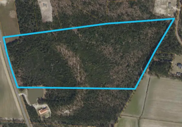 TBD Mill Pond Rd., Galivants Ferry, SC 29544
