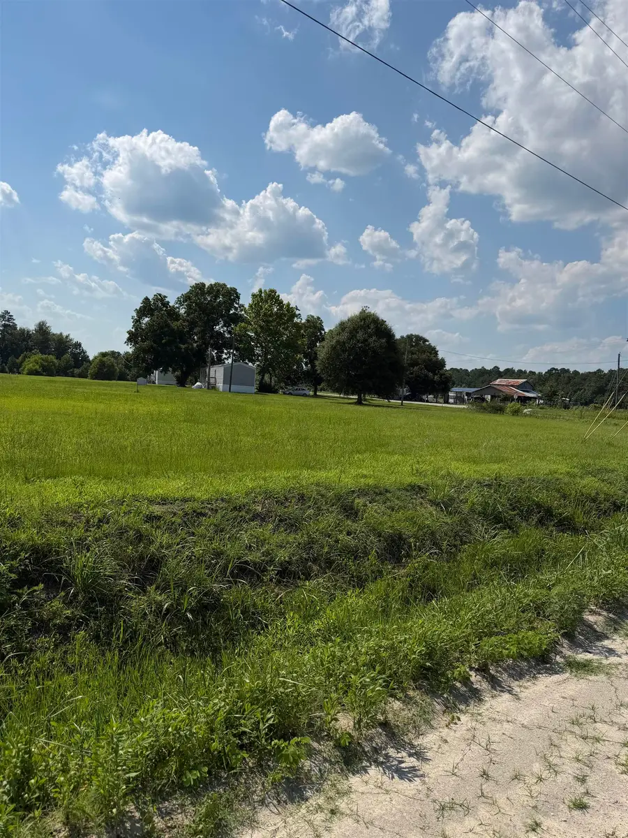 TBD Strickland Rd., Green Sea, SC 29545 - #2