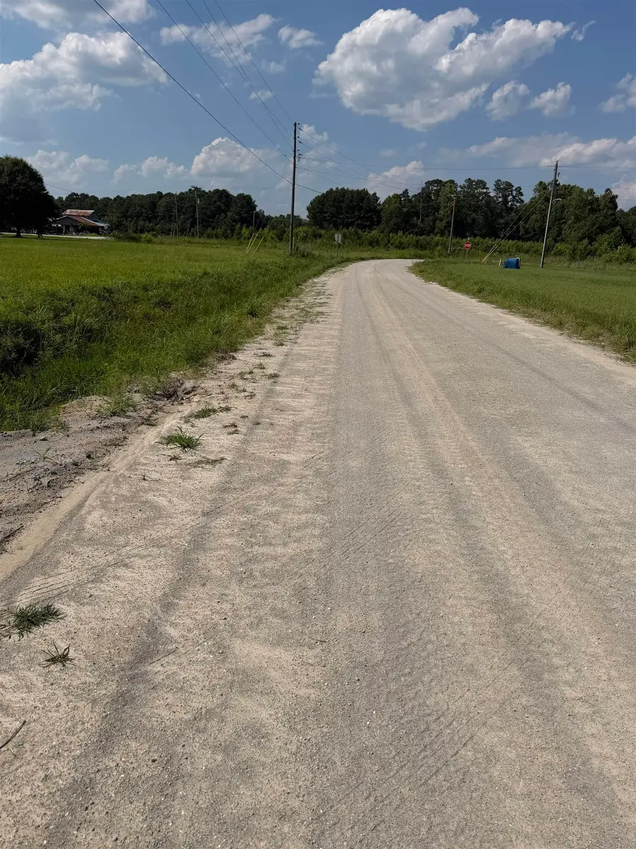 TBD Strickland Rd., Green Sea, SC 29545 - #3