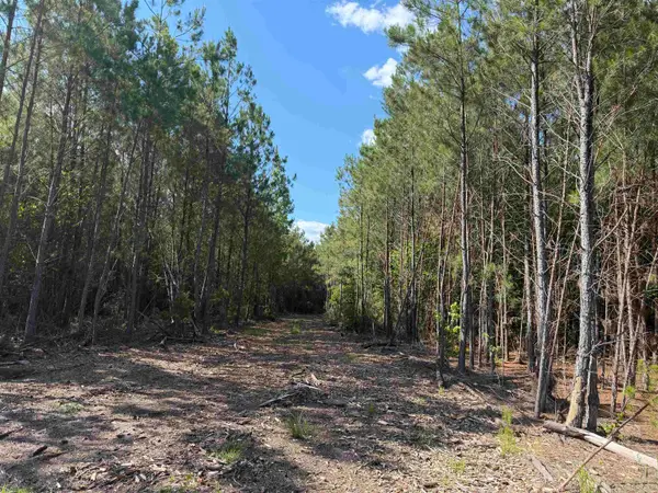 8862 Ware Dr., Nichols, SC 29581