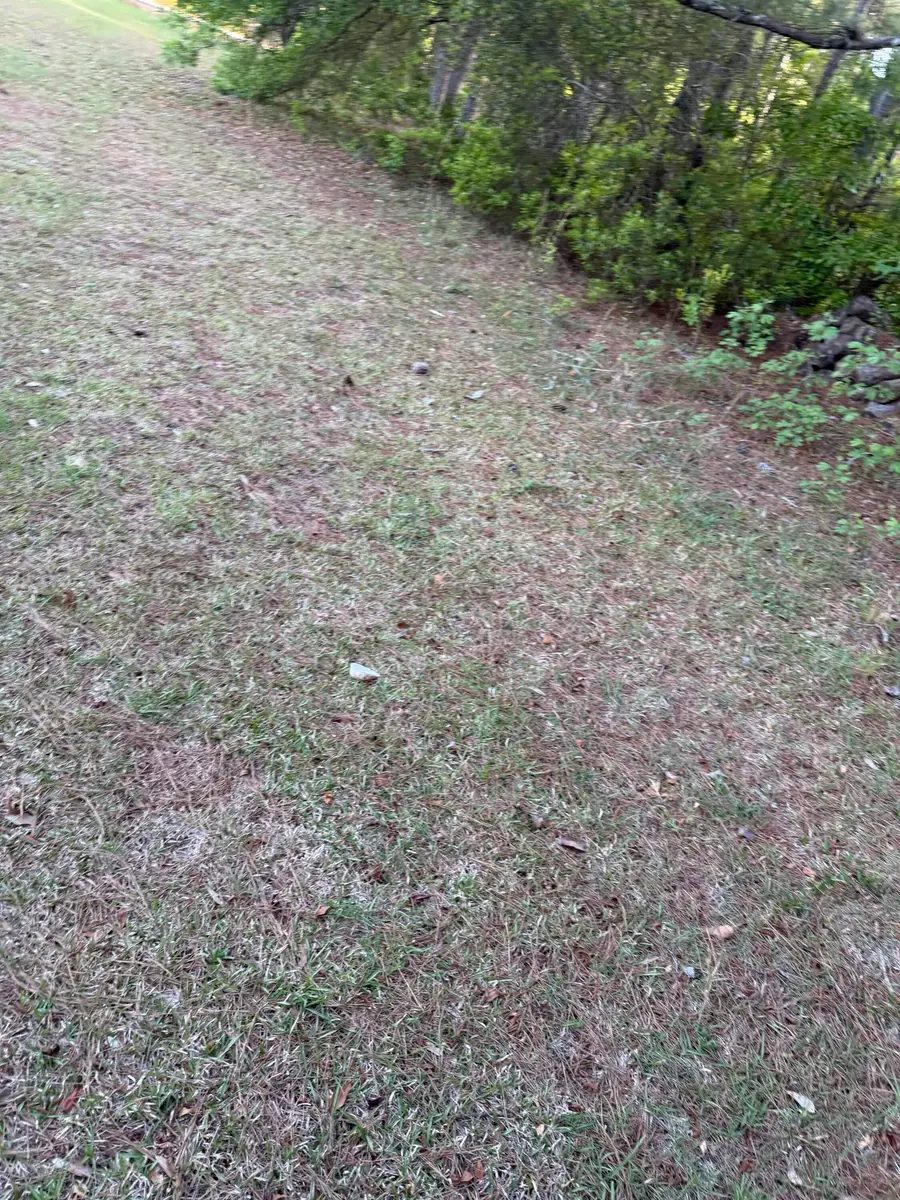 1605 Weldon Ln., Conway, SC 29526 - #3