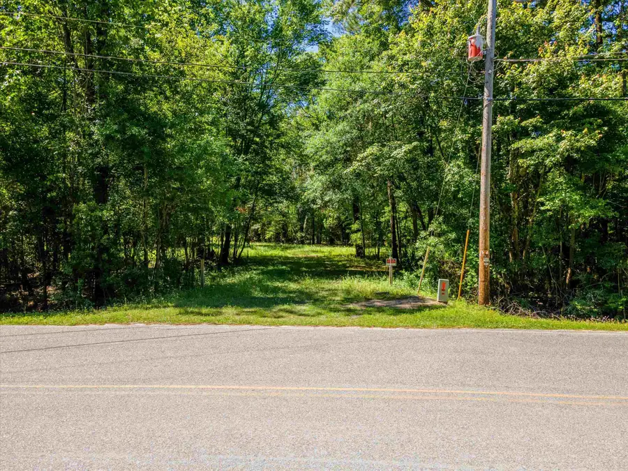 TBD Pitch Landing Rd., Conway, SC 29527 - #2