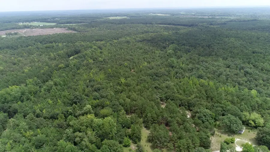 Young Circle, Kershaw, SC 29067 - #3