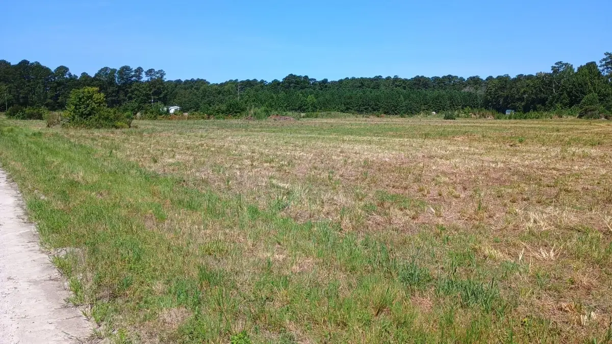 TBD Strickland Rd., Green Sea, SC 29545 - #1