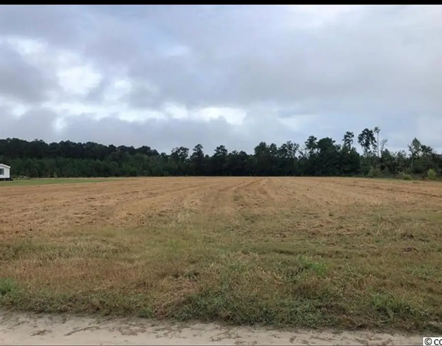 TBD Strickland Rd., Green Sea, SC 29545 - #3