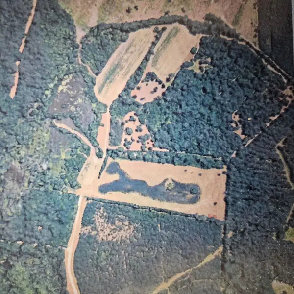 TBD Bratcher Rd., Conway, SC 29526