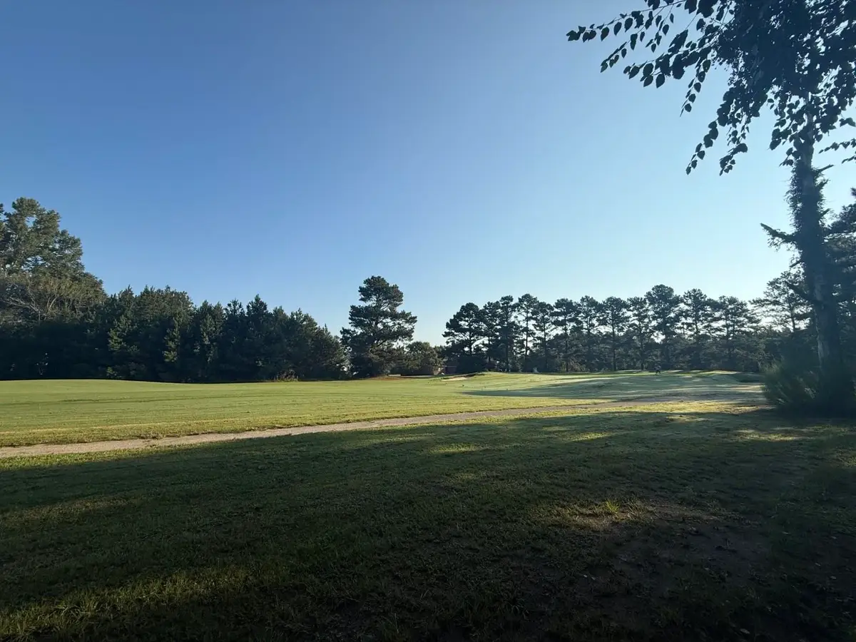359 Cedar Grove Church Rd, Johnsonville, SC 29555 - #1