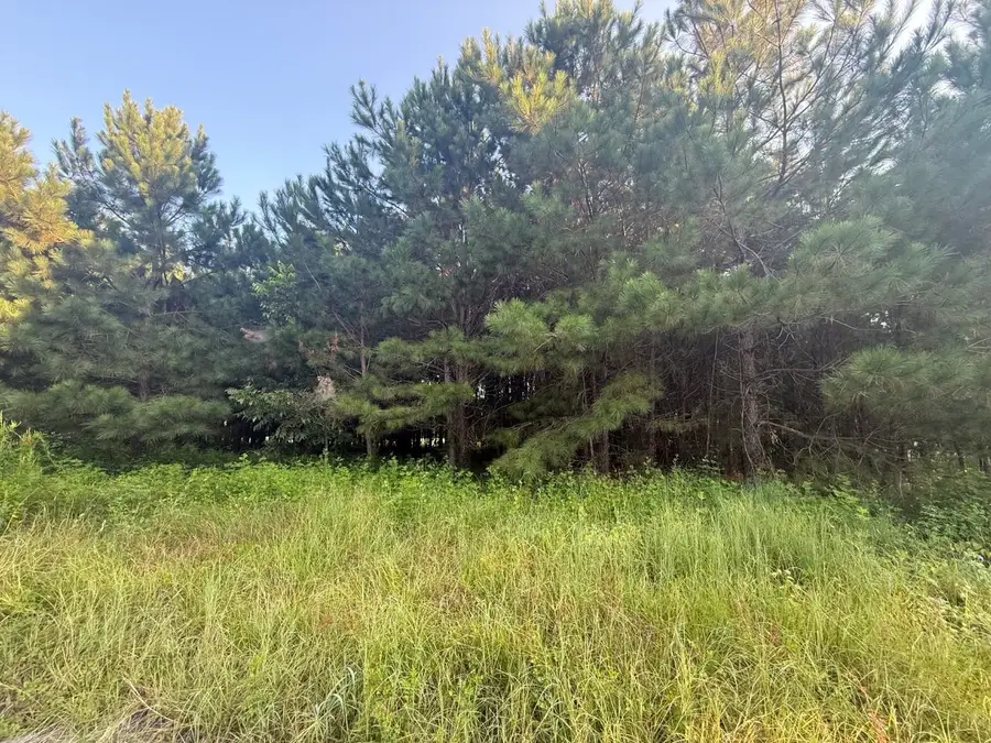 359 Cedar Grove Church Rd, Johnsonville, SC 29555 - #3