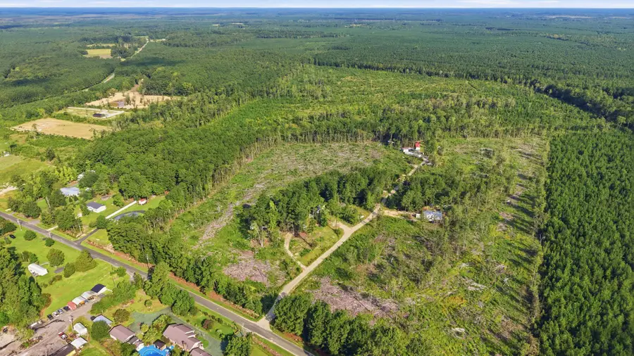 2106 Mineral Springs Rd., Conway, SC 29527 - #2