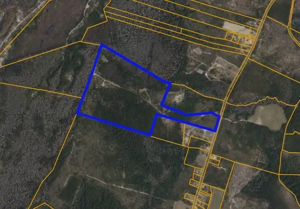 TBD N Nichols Hwy., Nichols, SC 29581