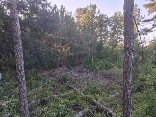 Lot 12-D Mcgregor Circle, Lake City, SC 29560