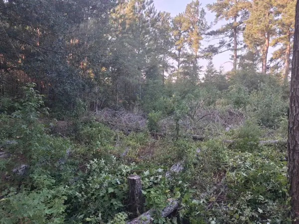 Lot 11-D Mcgregor Circle, Lake City, SC 29560