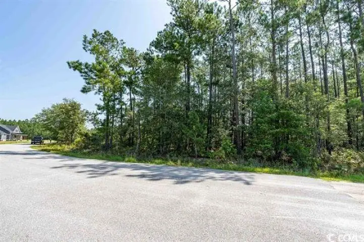 1535 Wilderness Ln., Loris, SC 29569 - #1